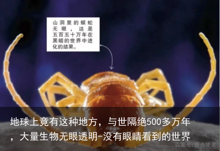 地球上竟有这种地方，与世隔绝500多万年，大量生物无眼透明-没有眼睛看到的世界
