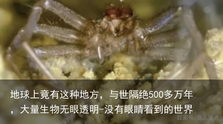 地球上竟有这种地方，与世隔绝500多万年，大量生物无眼透明-没有眼睛看到的世界