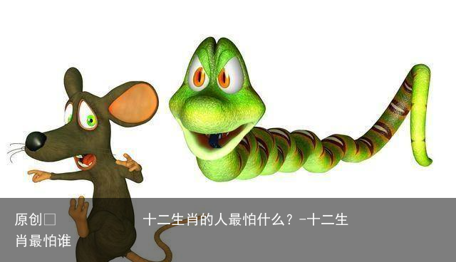 十二生肖的人最怕什么？-十二生肖最怕谁