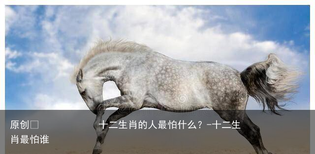 十二生肖的人最怕什么？-十二生肖最怕谁