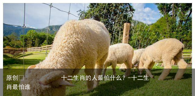 十二生肖的人最怕什么？-十二生肖最怕谁