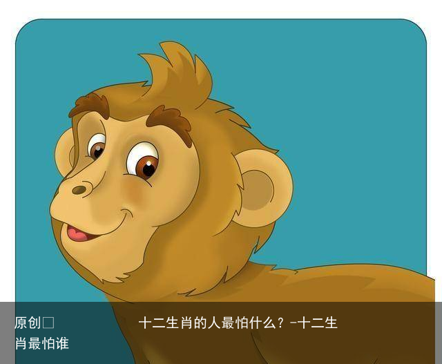 十二生肖的人最怕什么？-十二生肖最怕谁