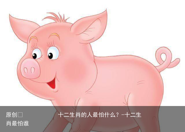 十二生肖的人最怕什么？-十二生肖最怕谁