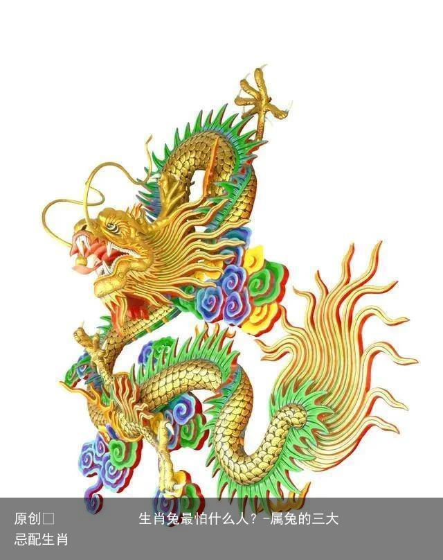 生肖兔最怕什么人？-属兔的三大忌配生肖