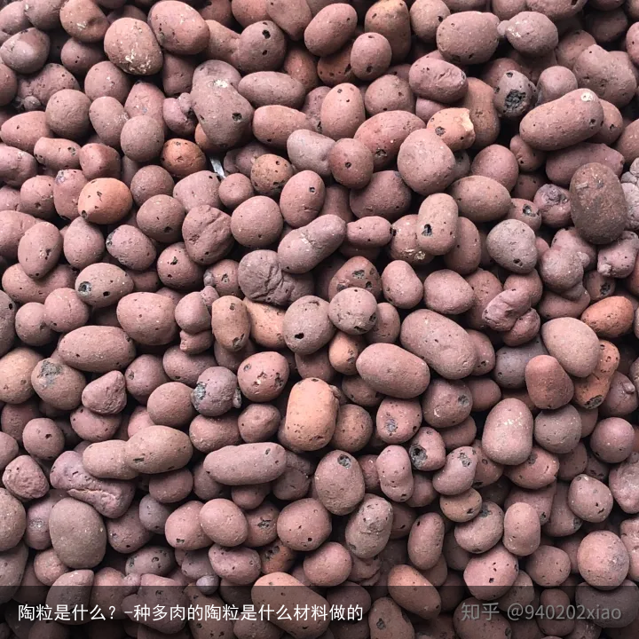 陶粒是什么？-种多肉的陶粒是什么材料做的