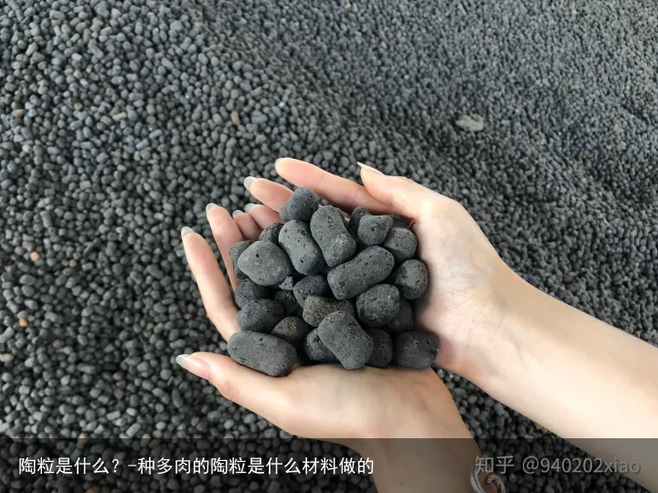 陶粒是什么？-种多肉的陶粒是什么材料做的