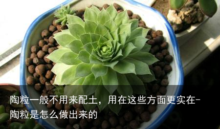 陶粒一般不用来配土，用在这些方面更实在-陶粒是怎么做出来的