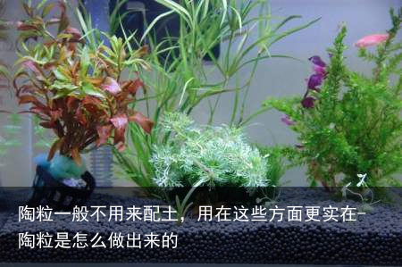 陶粒一般不用来配土，用在这些方面更实在-陶粒是怎么做出来的