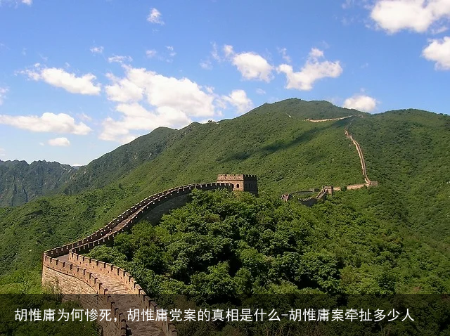 胡惟庸为何惨死，胡惟庸党案的真相是什么-胡惟庸案牵扯多少人