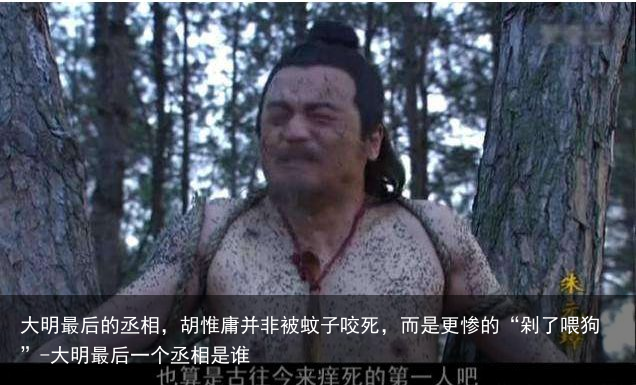 大明最后的丞相，胡惟庸并非被蚊子咬死，而是更惨的“剁了喂狗”-大明最后一个丞相是谁