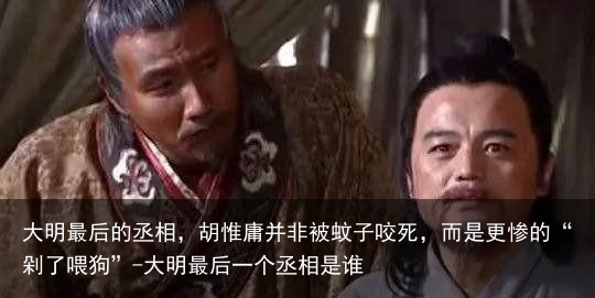 大明最后的丞相，胡惟庸并非被蚊子咬死，而是更惨的“剁了喂狗”-大明最后一个丞相是谁