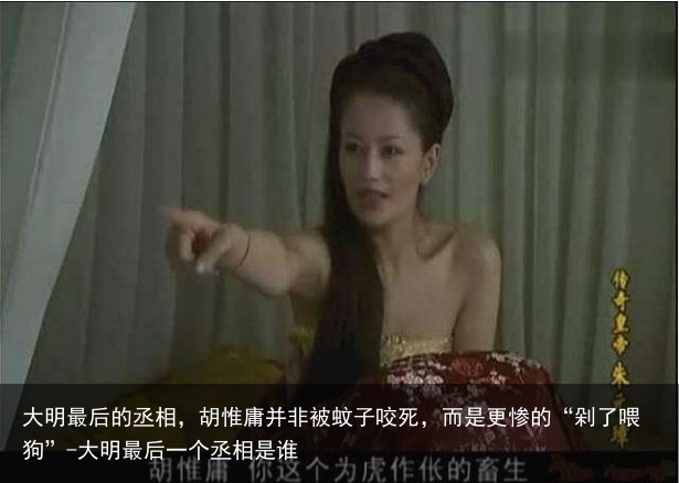 大明最后的丞相，胡惟庸并非被蚊子咬死，而是更惨的“剁了喂狗”-大明最后一个丞相是谁