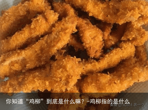 你知道“鸡柳”到底是什么嘛？-鸡柳指的是什么