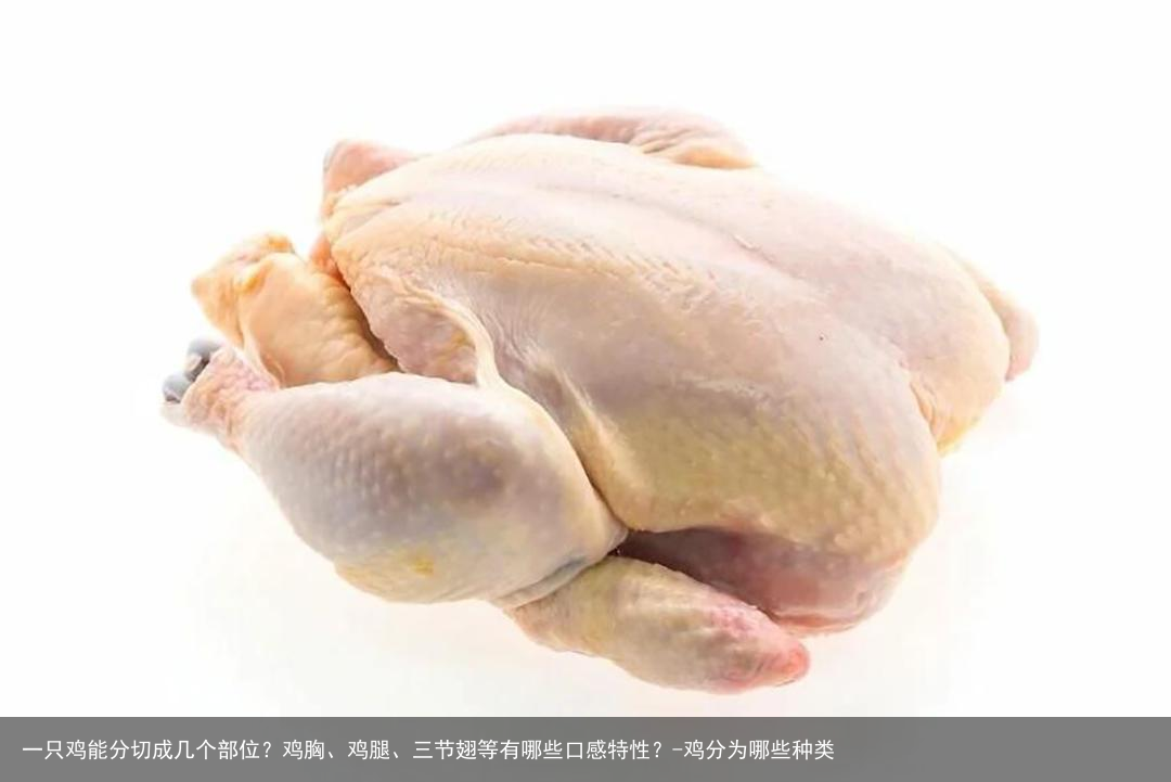一只鸡能分切成几个部位？鸡胸、鸡腿、三节翅等有哪些口感特性？-鸡分为哪些种类