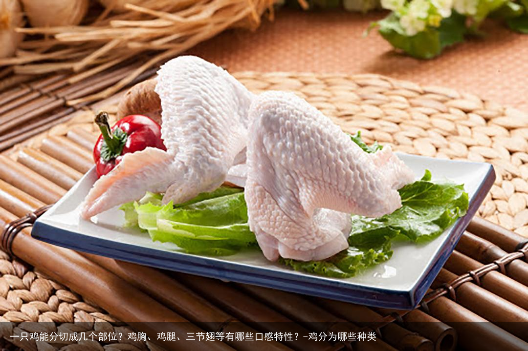 一只鸡能分切成几个部位？鸡胸、鸡腿、三节翅等有哪些口感特性？-鸡分为哪些种类