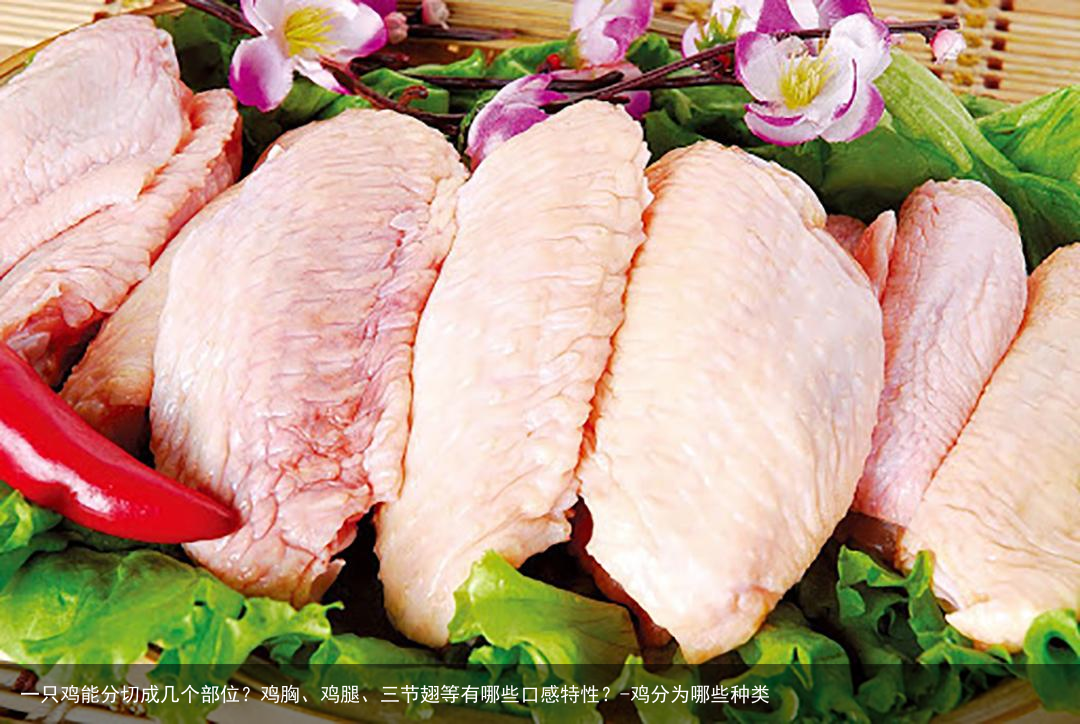 一只鸡能分切成几个部位？鸡胸、鸡腿、三节翅等有哪些口感特性？-鸡分为哪些种类