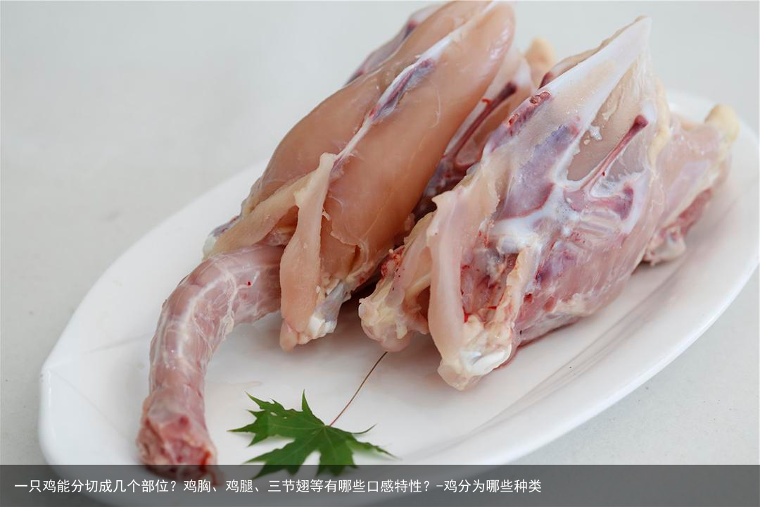 一只鸡能分切成几个部位？鸡胸、鸡腿、三节翅等有哪些口感特性？-鸡分为哪些种类