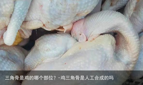 三角骨是鸡的哪个部位？-鸡三角骨是人工合成的吗
