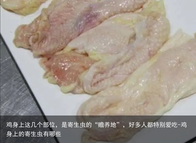 鸡身上这几个部位，是寄生虫的“赡养地”，好多人都特别爱吃-鸡身上的寄生虫有哪些
