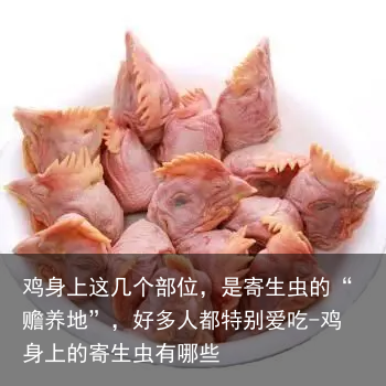 鸡身上这几个部位，是寄生虫的“赡养地”，好多人都特别爱吃-鸡身上的寄生虫有哪些