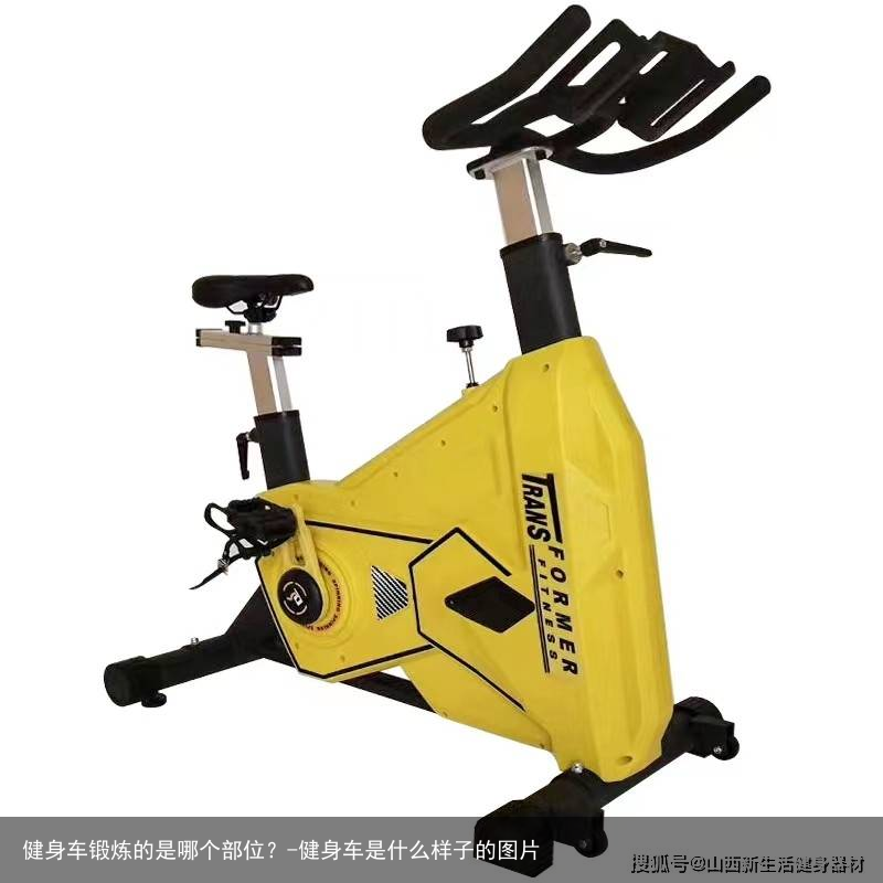 健身车锻炼的是哪个部位？-健身车是什么样子的图片