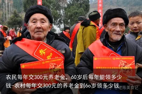 农民每年交300元养老金，60岁后每年能领多少钱-农村每年交300元的养老金到6o岁领多少钱