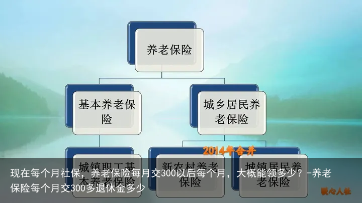 现在每个月社保，养老保险每月交300以后每个月，大概能领多少？-养老保险每个月交300多退休金多少
