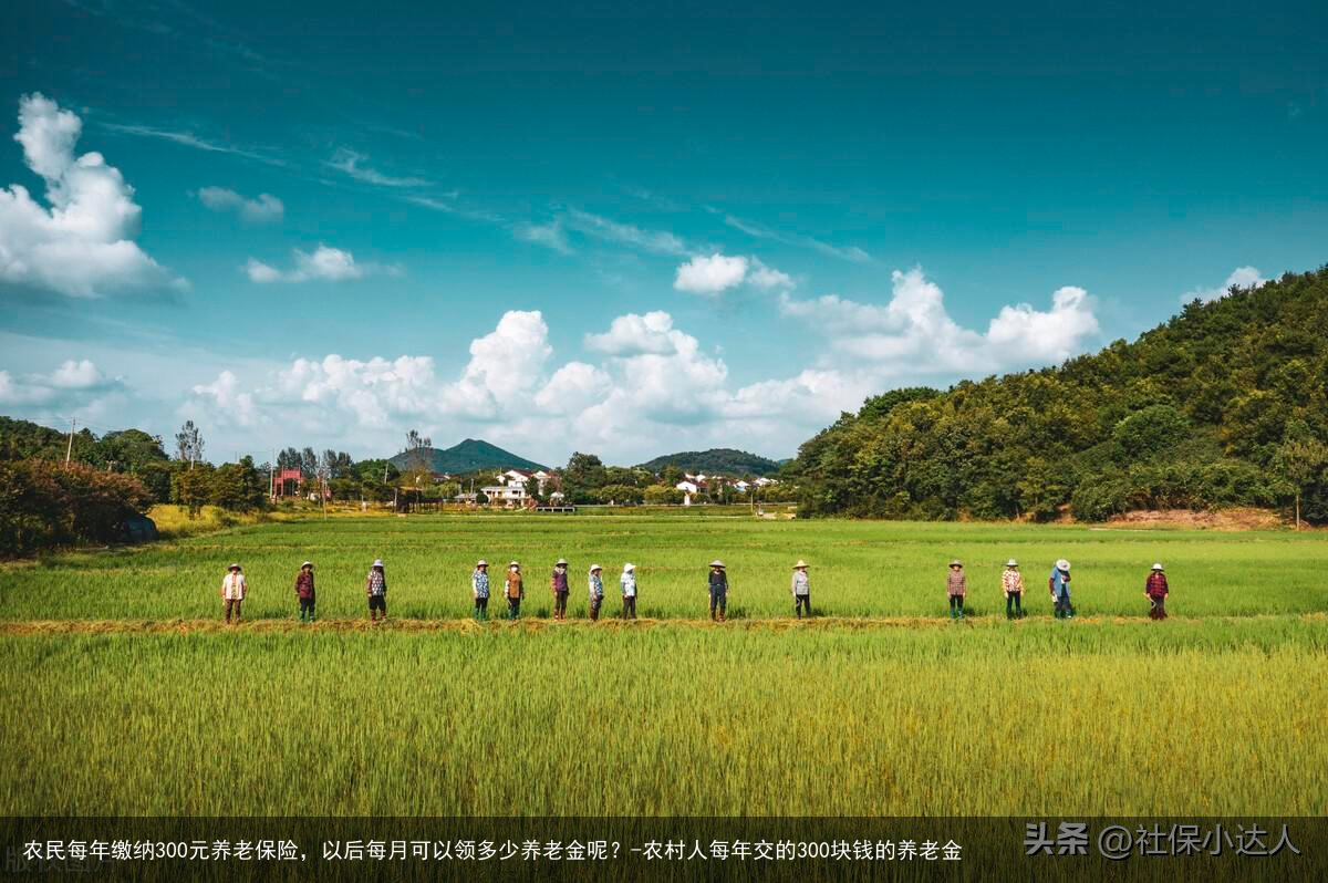 农民每年缴纳300元养老保险，以后每月可以领多少养老金呢？-农村人每年交的300块钱的养老金