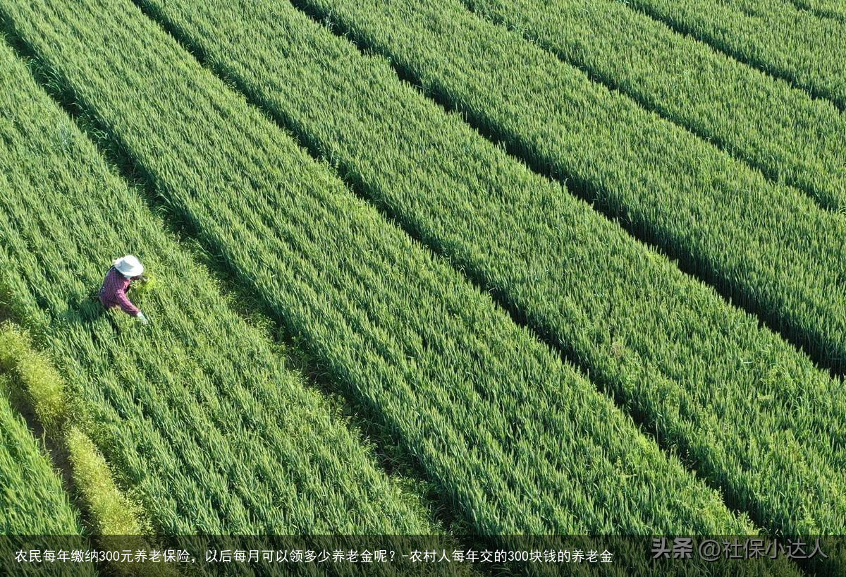 农民每年缴纳300元养老保险，以后每月可以领多少养老金呢？-农村人每年交的300块钱的养老金