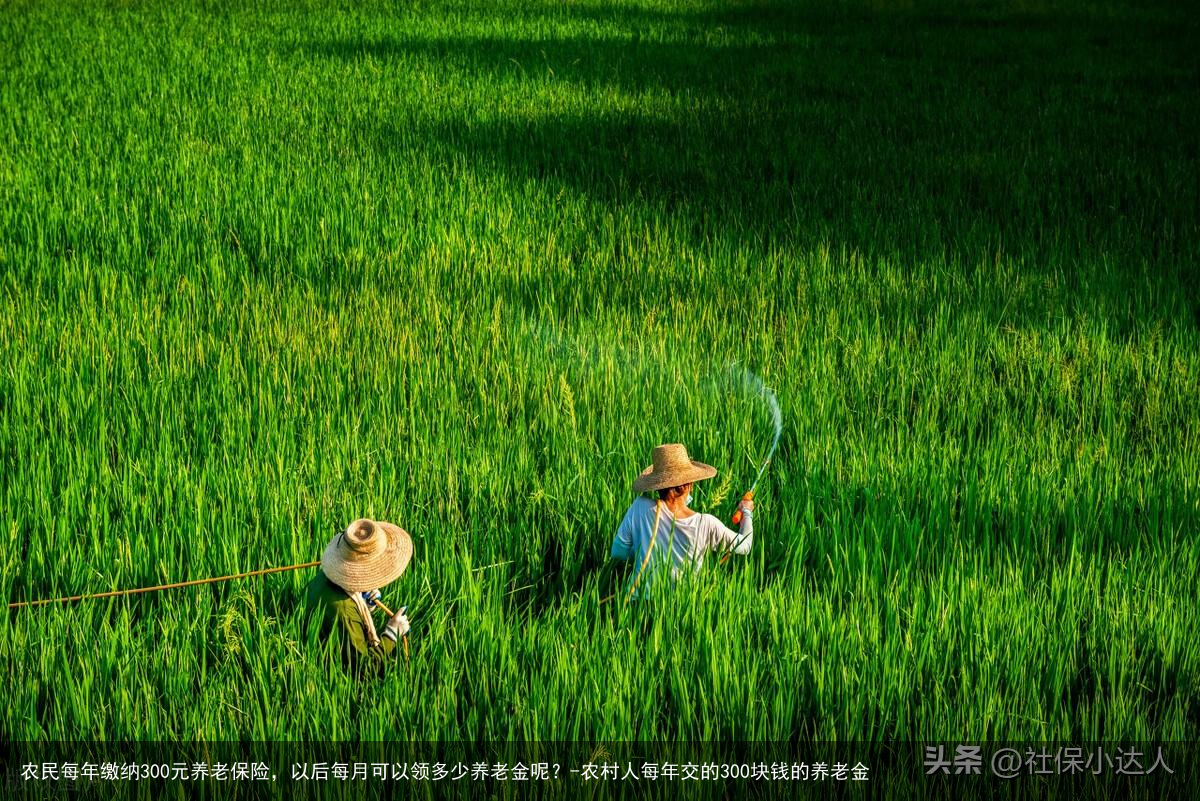 农民每年缴纳300元养老保险，以后每月可以领多少养老金呢？-农村人每年交的300块钱的养老金
