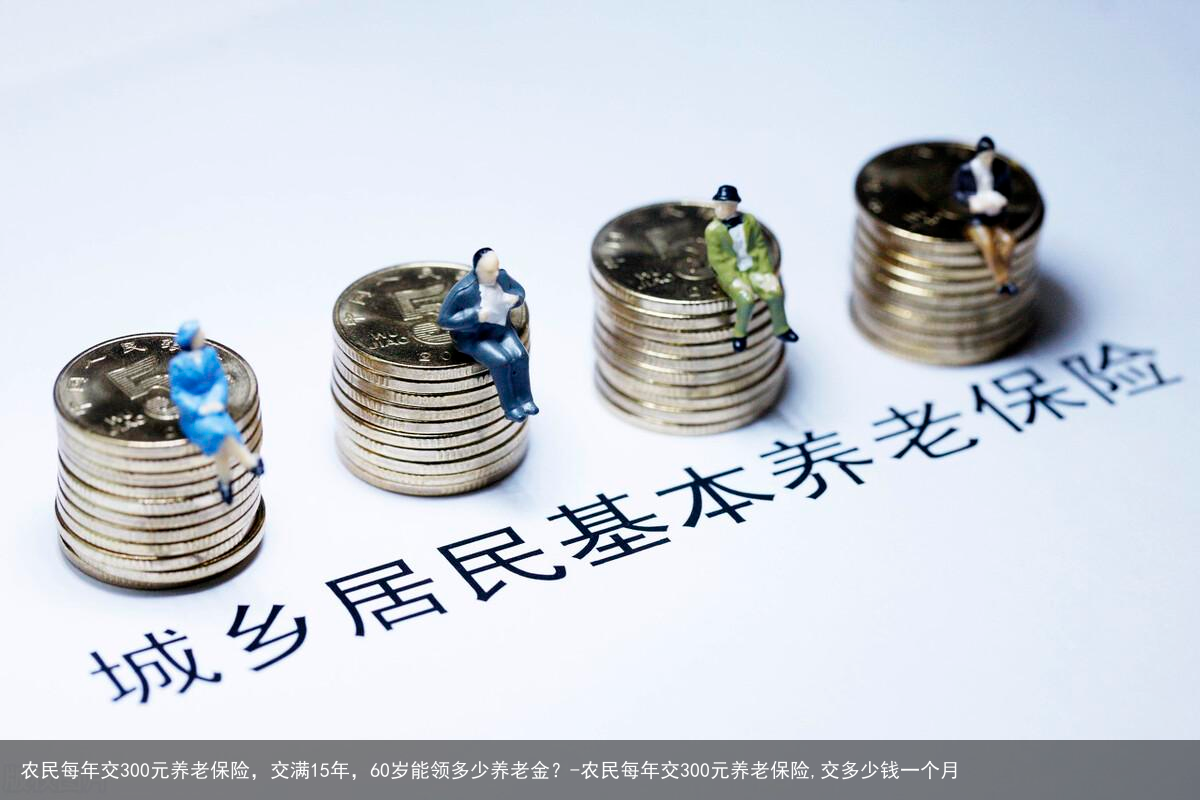 农民每年交300元养老保险，交满15年，60岁能领多少养老金？-农民每年交300元养老保险,交多少钱一个月