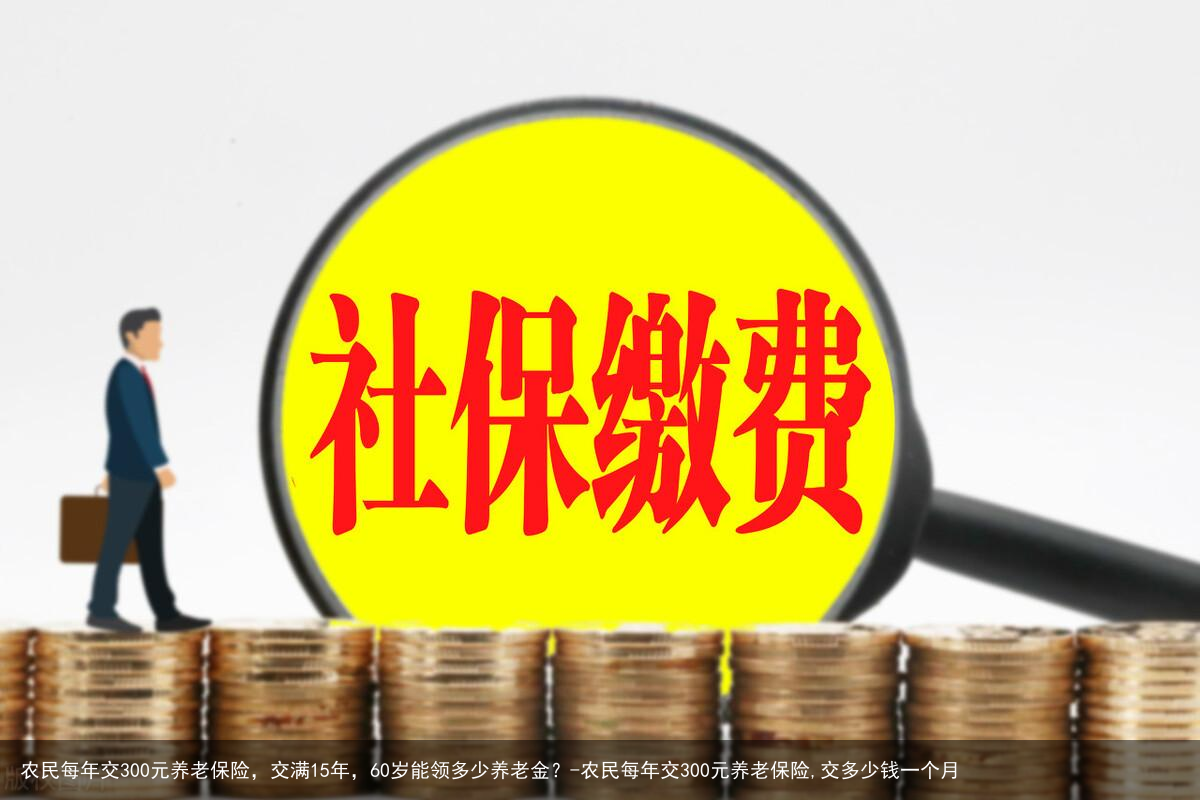 农民每年交300元养老保险，交满15年，60岁能领多少养老金？-农民每年交300元养老保险,交多少钱一个月