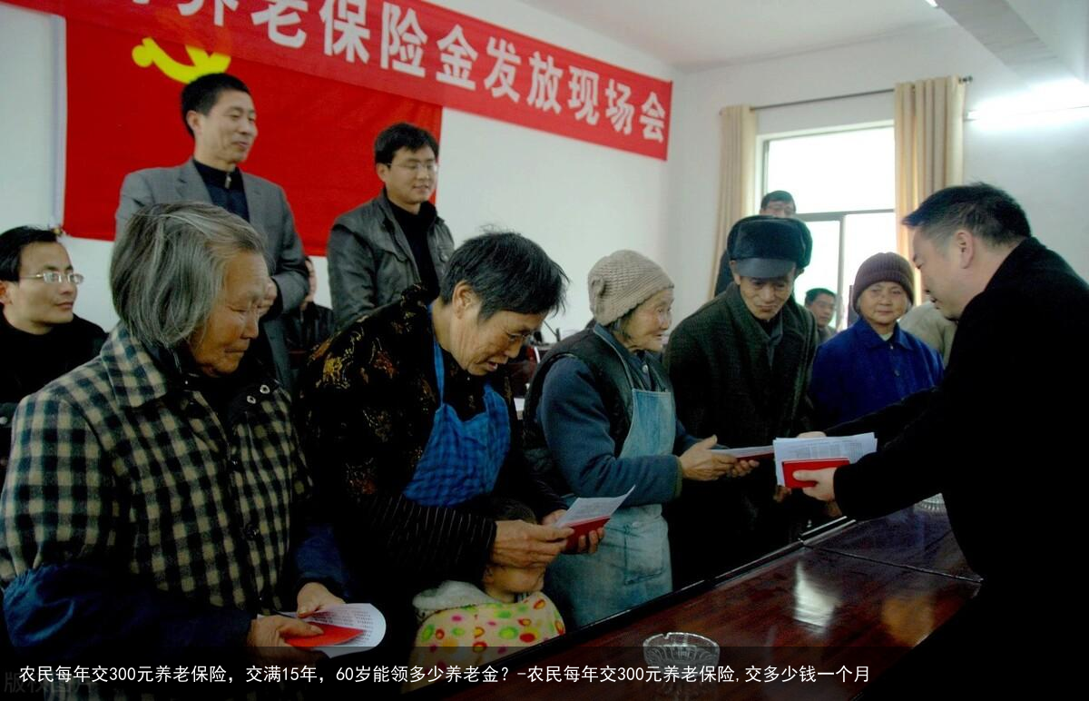 农民每年交300元养老保险，交满15年，60岁能领多少养老金？-农民每年交300元养老保险,交多少钱一个月
