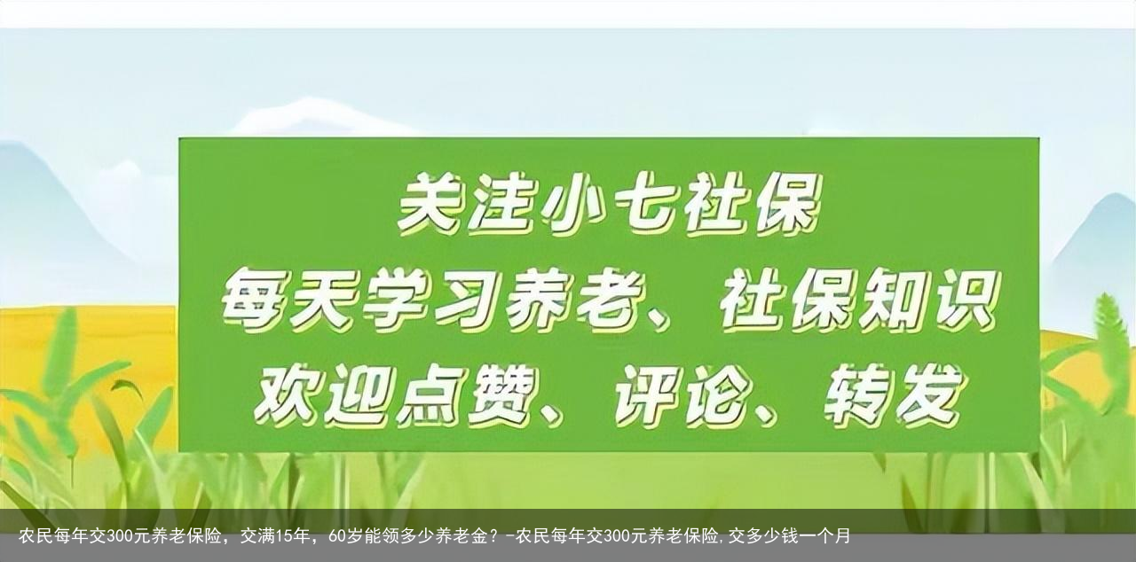 农民每年交300元养老保险，交满15年，60岁能领多少养老金？-农民每年交300元养老保险,交多少钱一个月