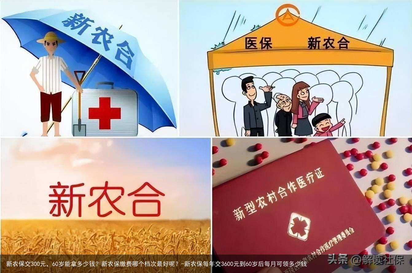 新农保交300元，60岁能拿多少钱？新农保缴费哪个档次最好呢？-新农保每年交3600元到60岁后每月可领多少钱