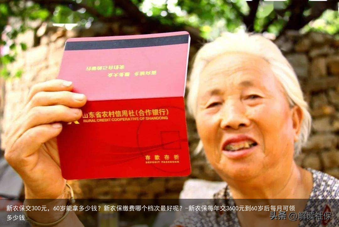 新农保交300元，60岁能拿多少钱？新农保缴费哪个档次最好呢？-新农保每年交3600元到60岁后每月可领多少钱