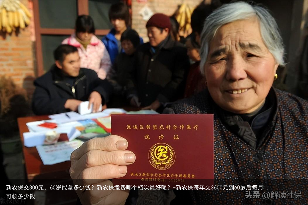 新农保交300元，60岁能拿多少钱？新农保缴费哪个档次最好呢？-新农保每年交3600元到60岁后每月可领多少钱