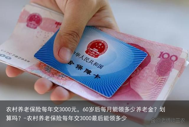 农村养老保险每年交3000元，60岁后每月能领多少养老金？划算吗？-农村养老保险每年交3000最后能领多少