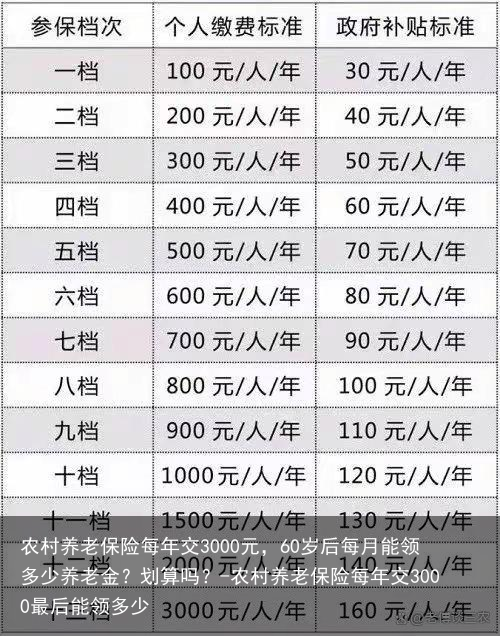 农村养老保险每年交3000元，60岁后每月能领多少养老金？划算吗？-农村养老保险每年交3000最后能领多少