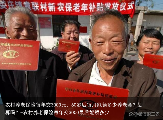 农村养老保险每年交3000元，60岁后每月能领多少养老金？划算吗？-农村养老保险每年交3000最后能领多少