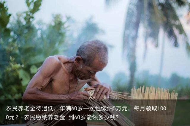农民养老金待遇低，年满60岁一次性缴纳5万元，每月领取1000元？-农民缴纳养老金,到60岁能领多少钱?