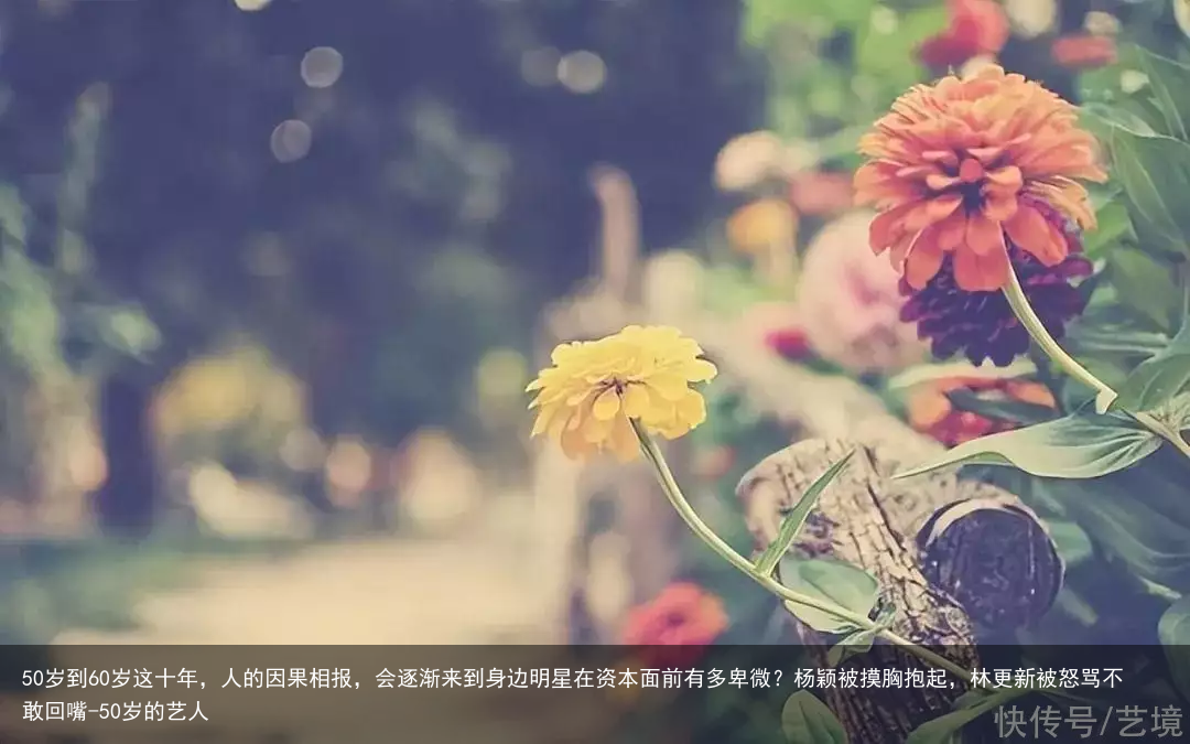 50岁到60岁这十年，人的因果相报，会逐渐来到身边