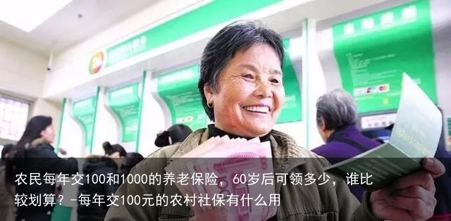 农民每年交100和1000的养老保险，60岁后可领多少，谁比较划算？-每年交100元的农村社保有什么用