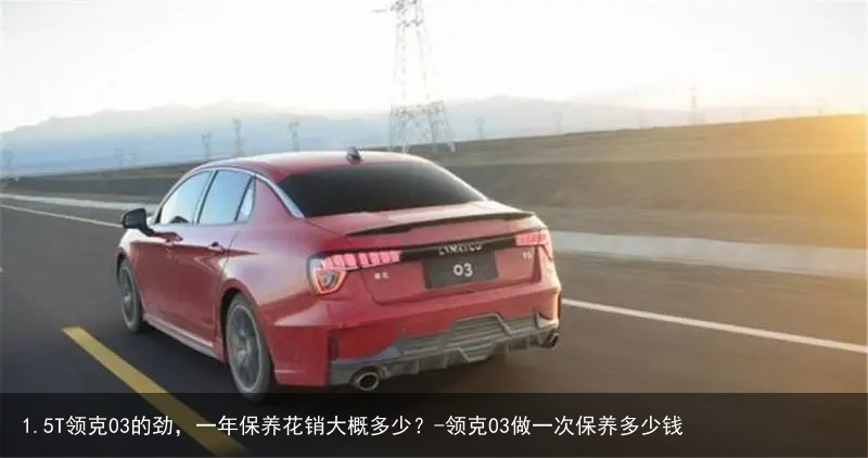 1.5T领克03的劲，一年保养花销大概多少？-领克03做一次保养多少钱