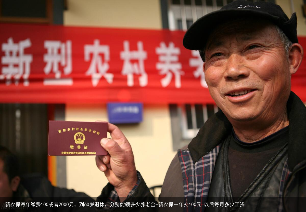 新农保每年缴费100或者2000元，到60岁退休，分别能领多少养老金-新农保一年交100元,以后每月多少工资