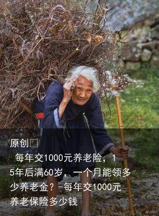 每年交1000元养老险，15年后满60岁，一个月能领多少养老金？