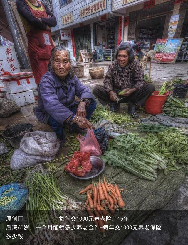 每年交1000元养老险，15年后满60岁，一个月能领多少养老金？