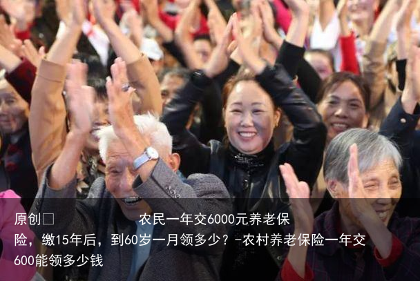 农民一年交6000元养老保险，缴15年后，到60岁一月领多少？-农村养老保险一年交600能领多少钱