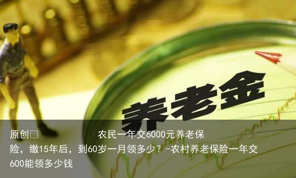 农民一年交6000元养老保险，缴15年后，到60岁一月领多少？-农村养老保险一年交600能领多少钱