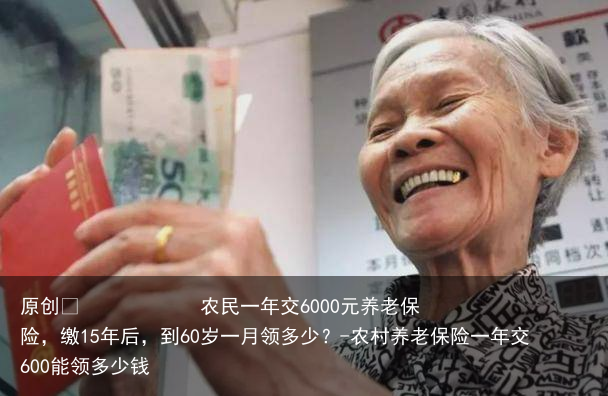 农民一年交6000元养老保险，缴15年后，到60岁一月领多少？-农村养老保险一年交600能领多少钱